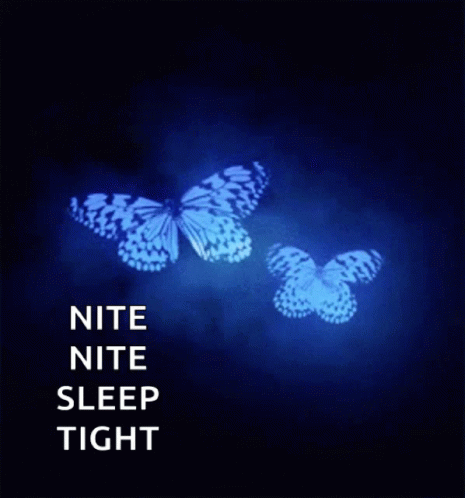 Blue Butterflies Sleep Tight GIF