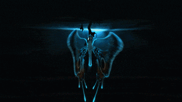 Blue Butterfly 3d GIF