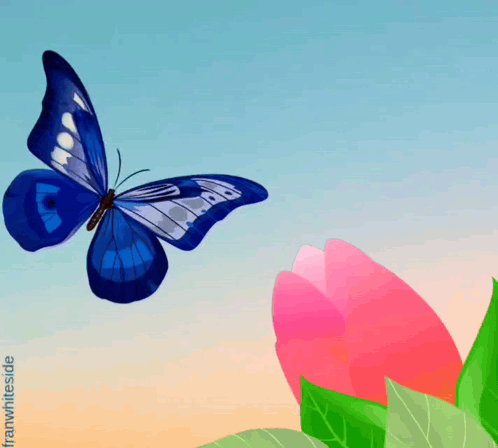 Blue Butterfly Flying Over Pink Flower GIF