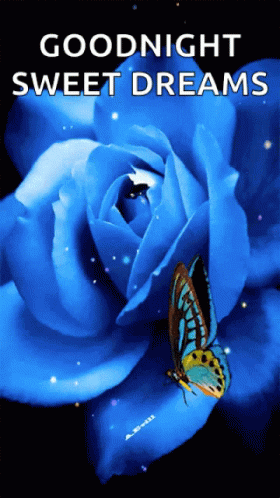 Blue Butterfly Good Night GIF