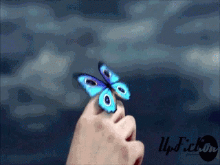 Blue Butterfly Hands GIF