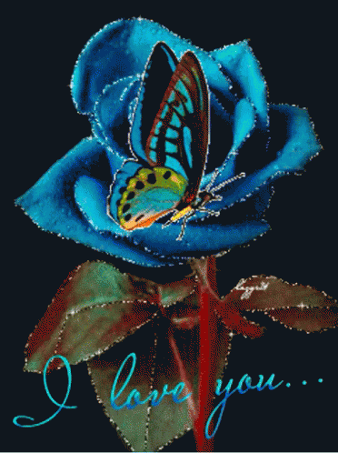 Blue Butterfly I Love You GIF