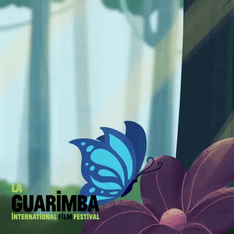 Blue Butterfly La Guarimba GIF