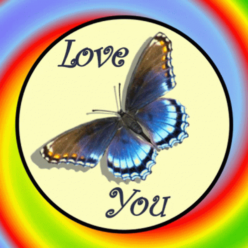 Blue Butterfly Love You GIF