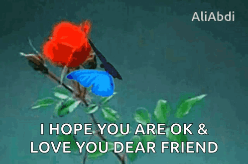 Blue Butterfly On Red Rose I Hope You Are Ok Love You Dear Friend GIF