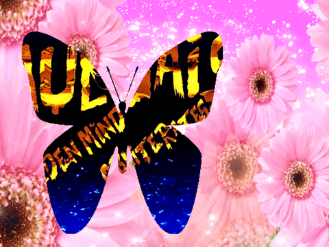 Blue Butterfly Pink Daisy GIF