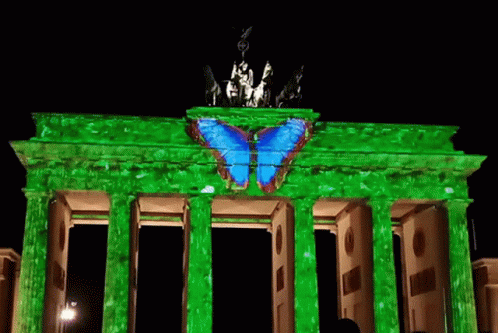 Blue Butterfly Projected on Green Building at Night