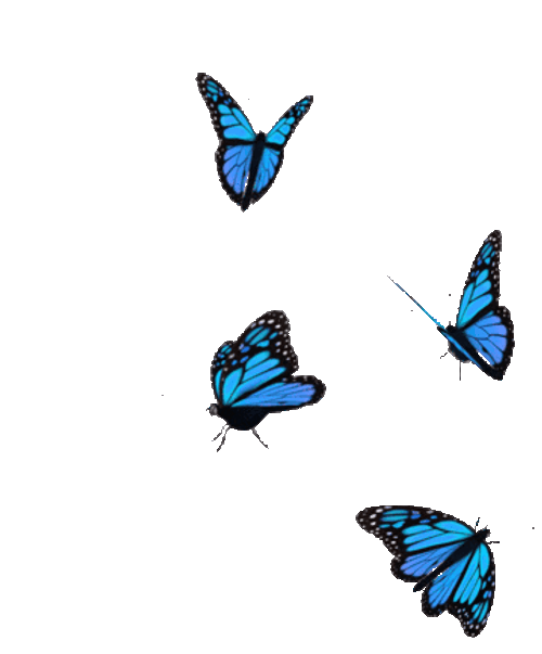 Blue Butterfly Stickers GIF