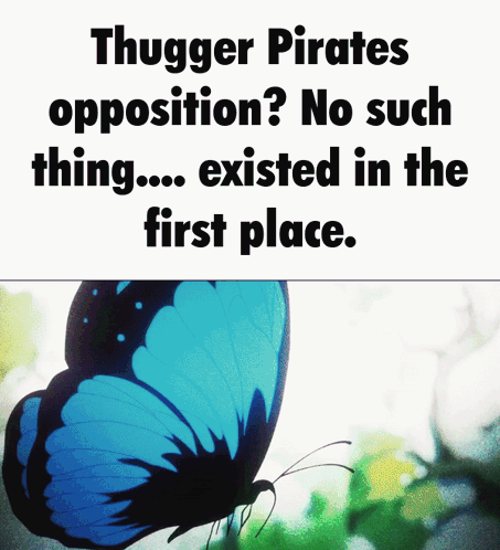 Blue Butterfly Thugger Pirates Opposition GIF