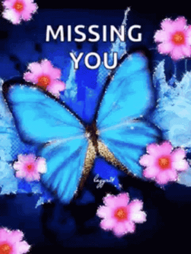 Blue Butterfly with Pink Flowers Missing You