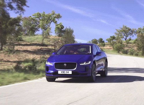 Blue Car With License Plate VBG 114