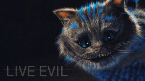 Blue Cat Live Evil GIF