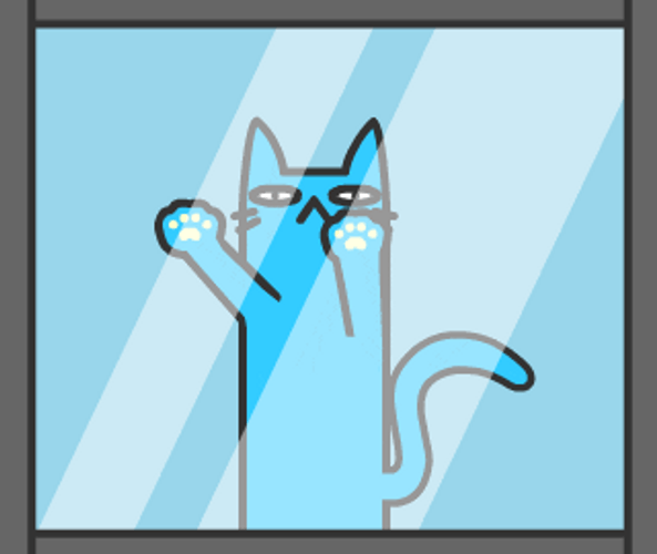 Blue Cat Scratching Let Me In GIF