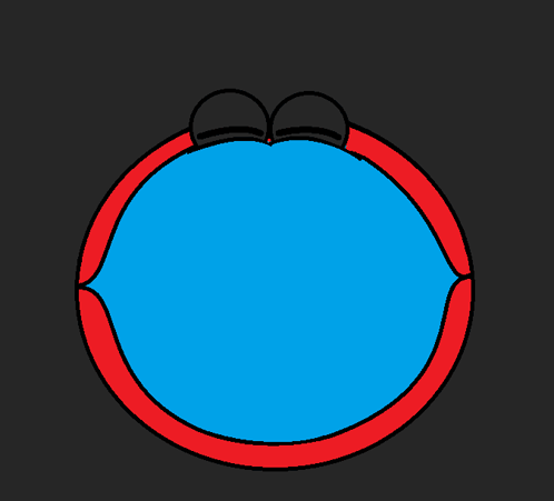 Blue Circle With Ireland Written On It