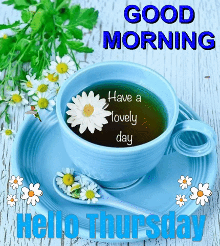 Blue Cup Of Tea With Flower Saying Good Morning Have A Lovely Day GIF