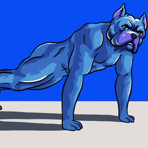 Blue Dog Doing Push Up