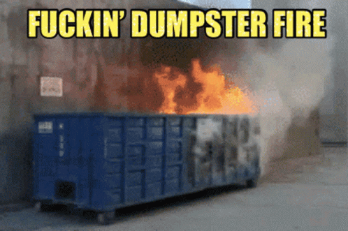 Blue Dumpster on Fire Fuckin Dumpster Fire
