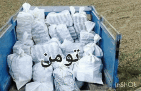 Blue Dumpster With Arabic Writing Bags
