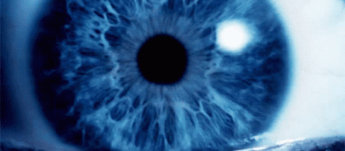 Blue Eye With White Circle