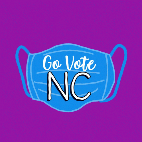 Blue Face Mask Saying Go Vote NC