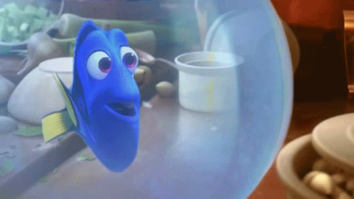 Blue Fish Looking Out of Water Bubble
