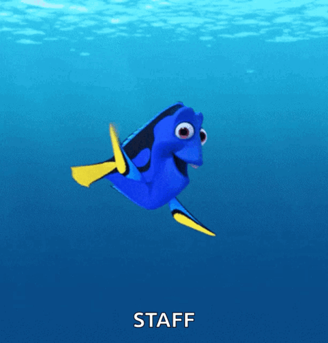 Blue Fish with Yellow Flippers