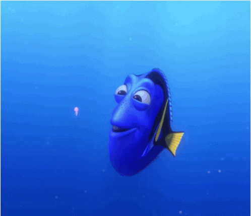 Blue Fish with Yellow Tail Swimming