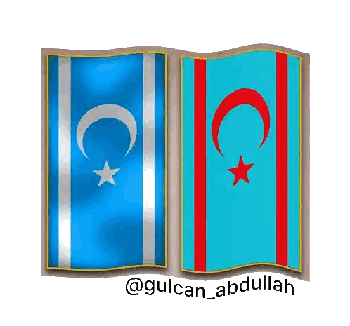 Blue Flag with Crescent Moon and Red Star