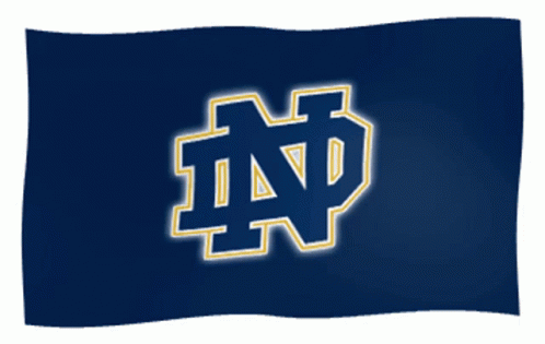 Blue Flag With Glowing ND Logo