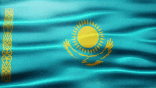 Blue Flag With Yellow Sun and Bird