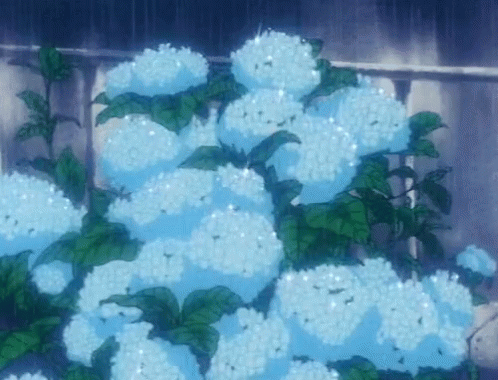 Blue Flowers With Green Leaves In Rain GIF