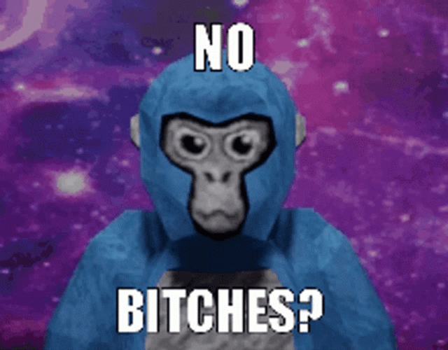 Blue Gorilla Tag Said No Bitches To Enemy  GIF