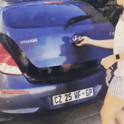 Blue Hyundai Car Plate cz 25 wf gp