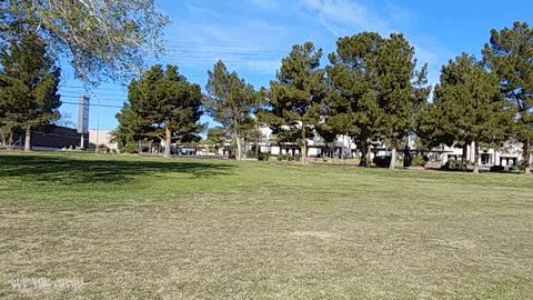 Blue Lowrider Car Passing By GIF