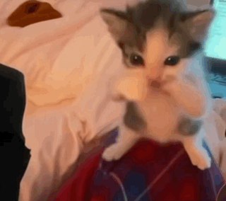 Blue Monster With Pink Bow Tie GIF