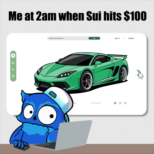 Blue Owl Sitting at Laptop Me at 2am When Sui Hits $100