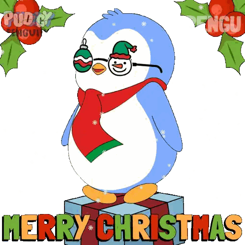 Blue Penguin Sunglasses and Scarf Merry Christmas