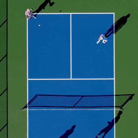 Blue Pickleball Court Meme GIF