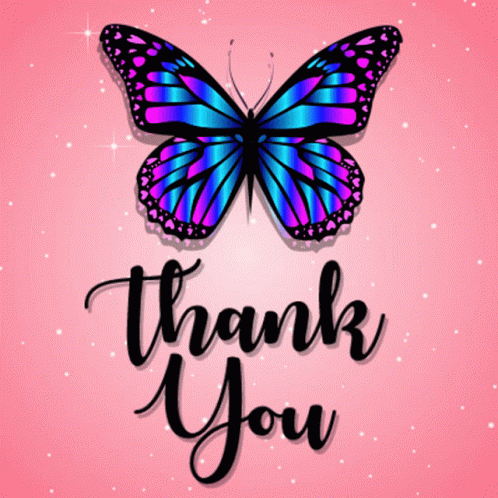Blue Pink Butterfly GIF