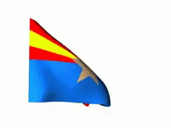 Blue Red and Yellow Flag With Star
