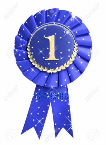 Blue Ribbon Number 1 Star Child