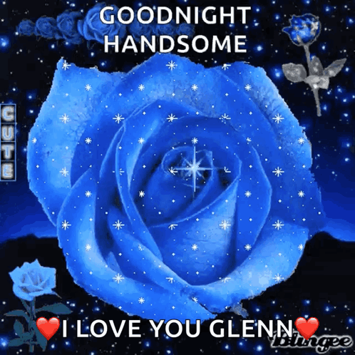 Blue Rose Goodnight I Love You Glenn GIF