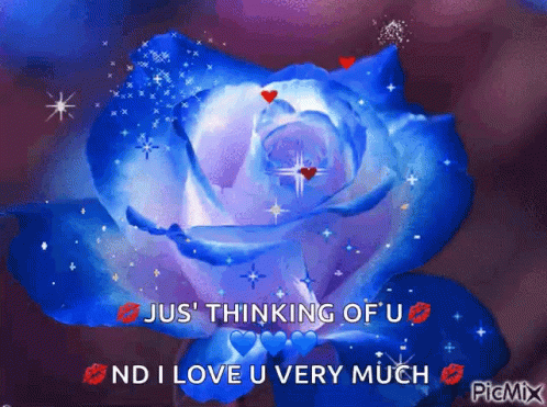 Blue Rose Saying Just Thinking Of You I Love You Very Much GIF