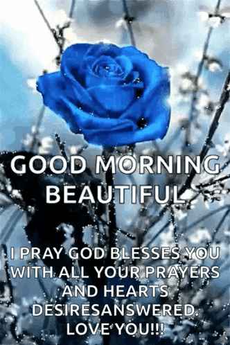 Blue Rose With Good Morning Message GIF