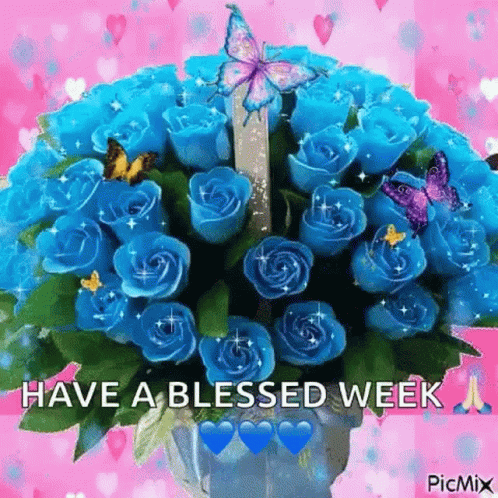Blue Roses Bouquet With Butterflies Have A Blessed Week