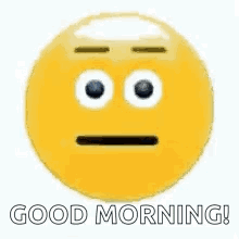Blue Smiley Saying Good Morning GIF