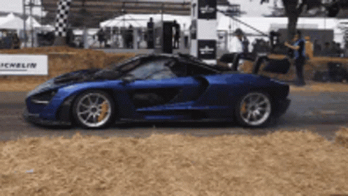 Blue Sports Car with License Plate P14 00V
