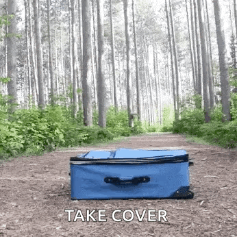 Blue Suitcase in Forest Take Cover