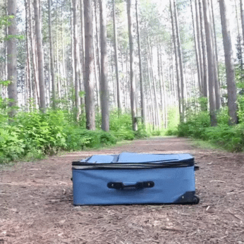 Blue Suitcase in the Woods