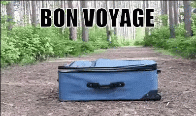 Blue Suitcase in Woods with Bon Voyage